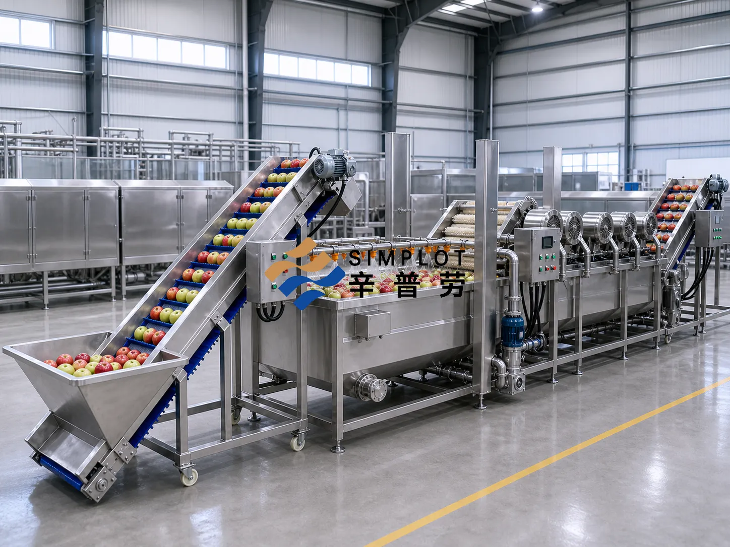 Apple Washing Processing Line