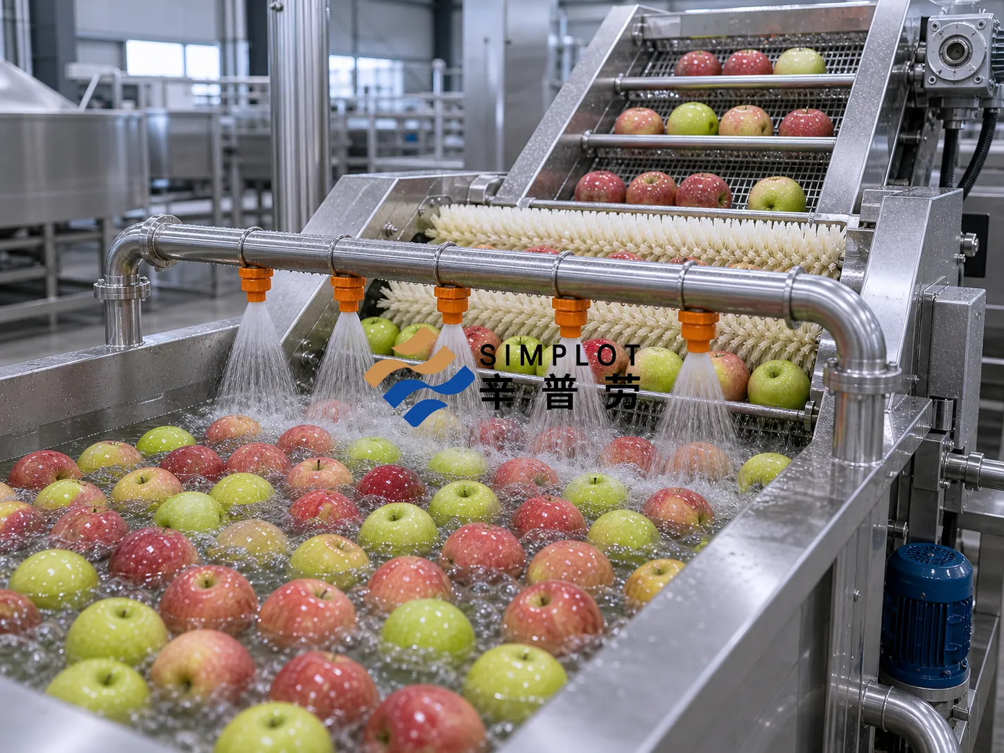 Apple Washing Processing Line