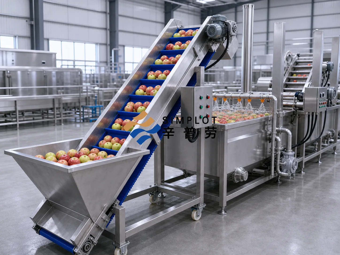 Apple Washing Processing Line