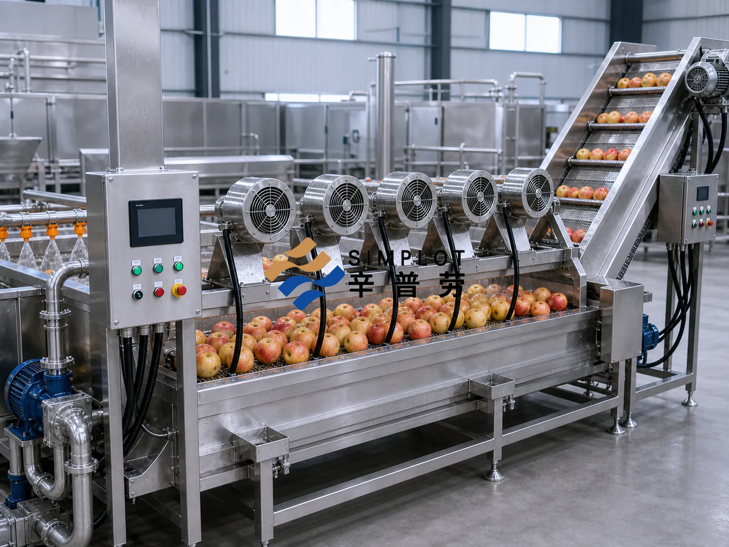 Apple Washing Processing Line
