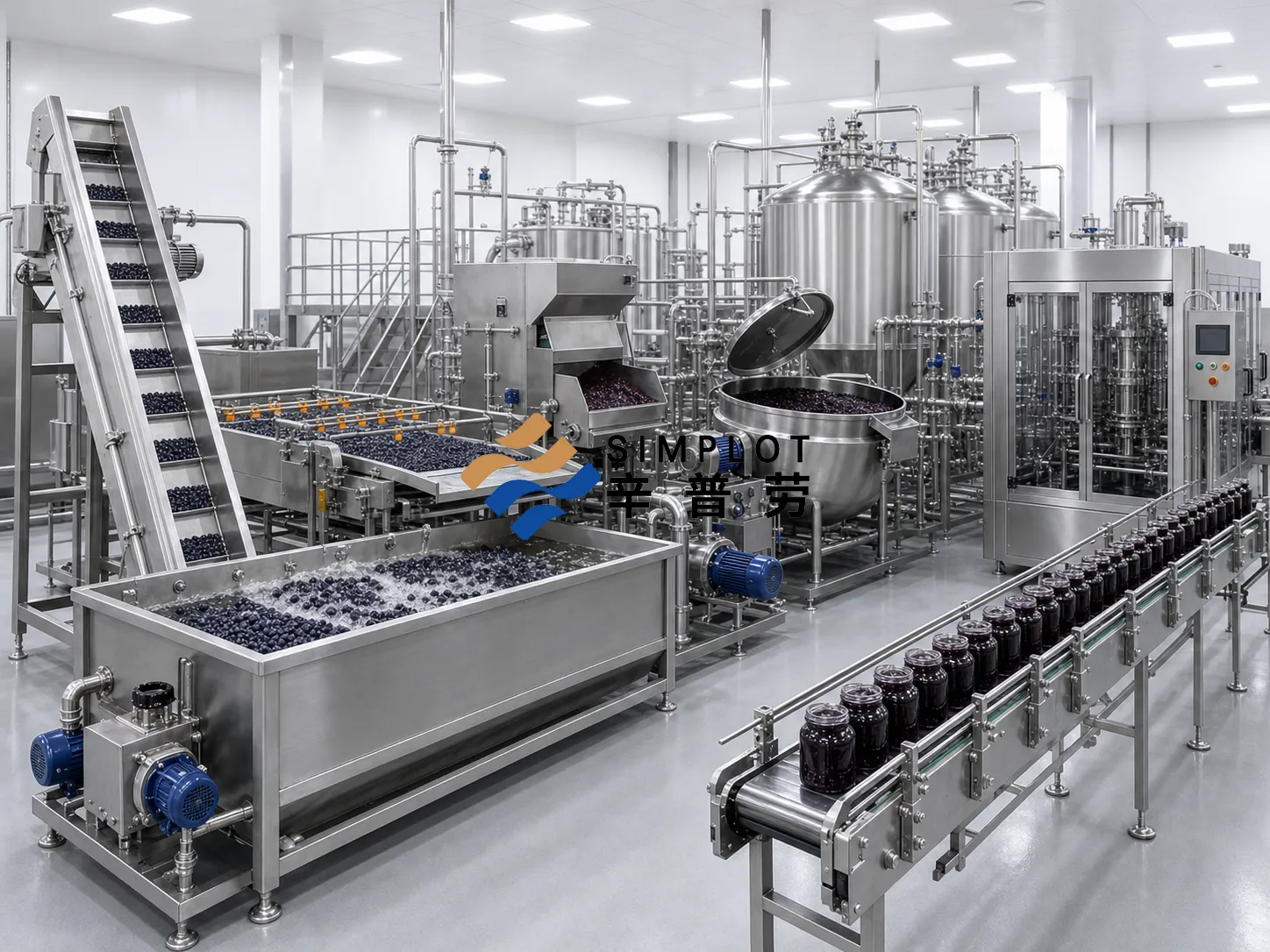 Blueberry Jam Processing Line