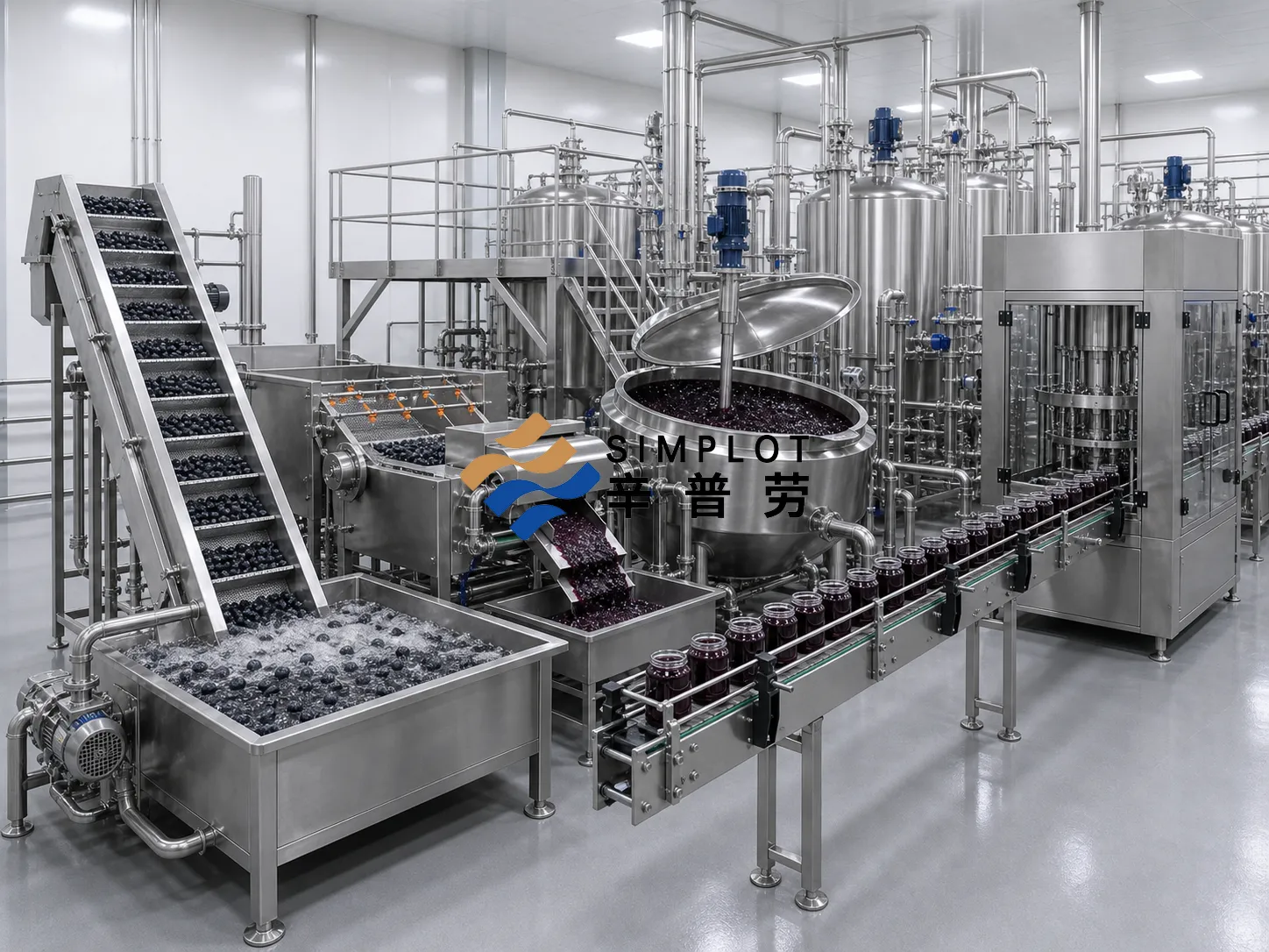 Blueberry Jam Processing Line