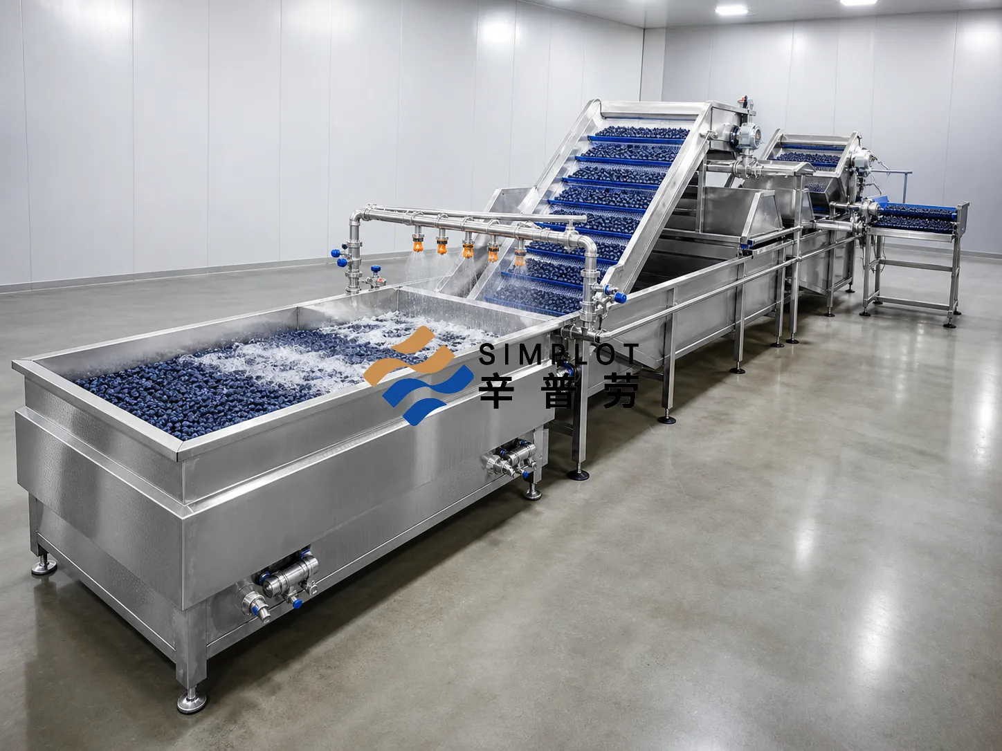 Blueberry Washing Processing Line