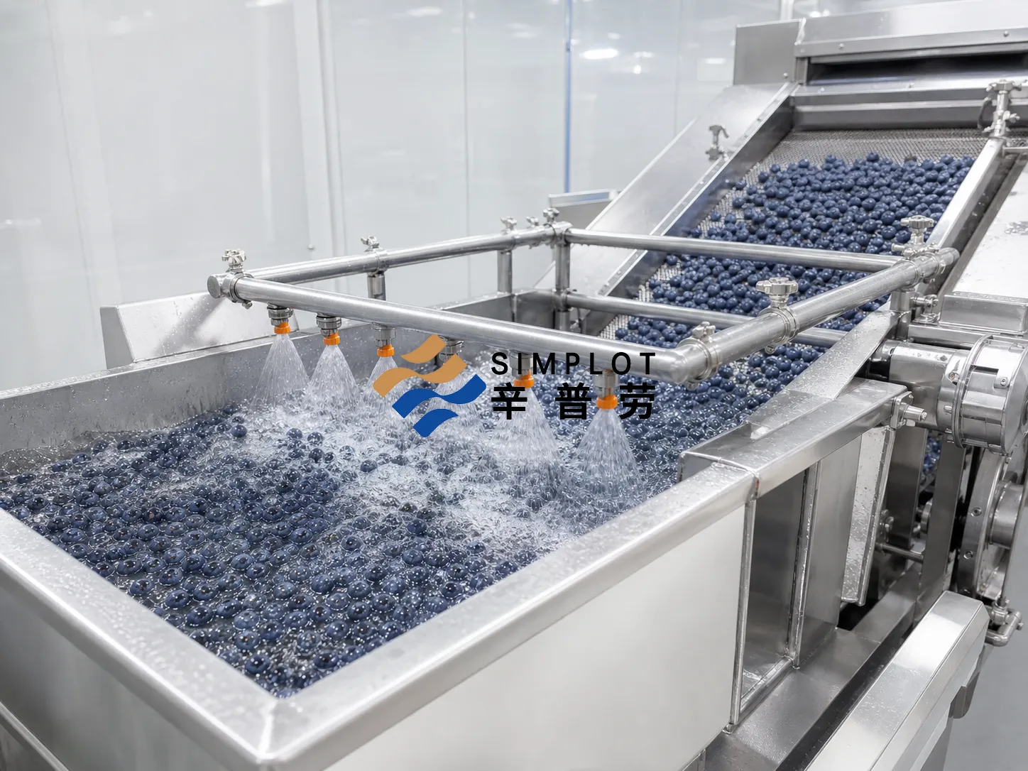 Blueberry Washing Processing Line
