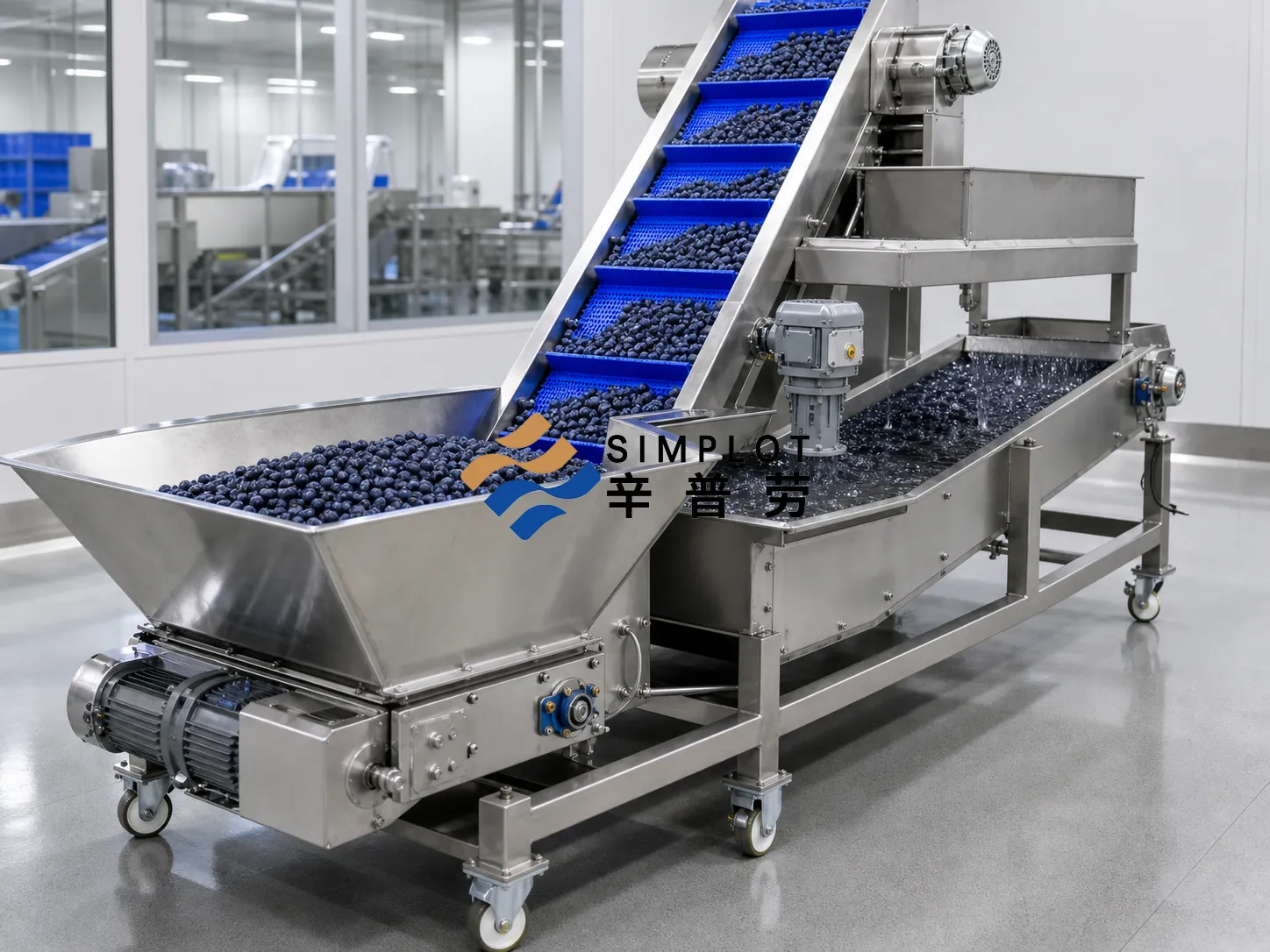 Blueberry Washing Processing Line