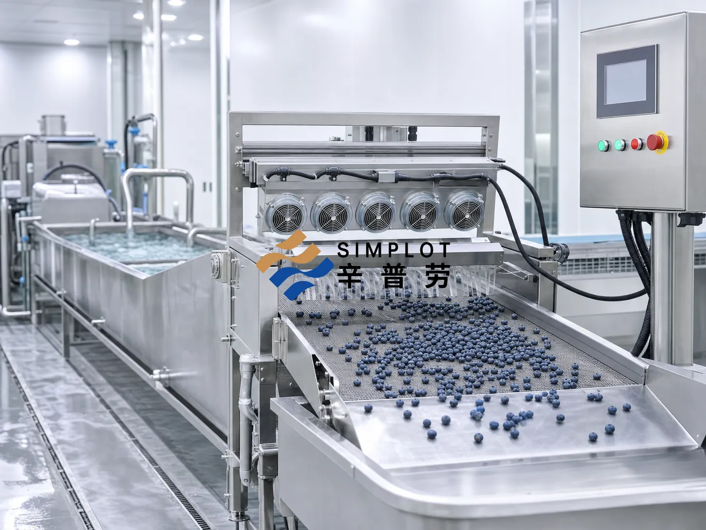 Blueberry Washing Processing Line