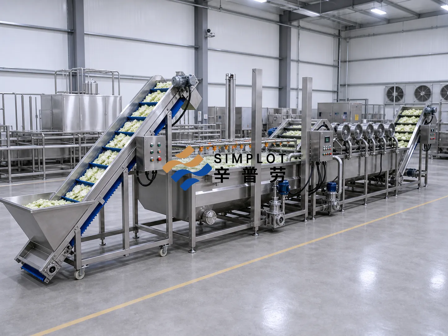 Cabbage Washing Processing Line