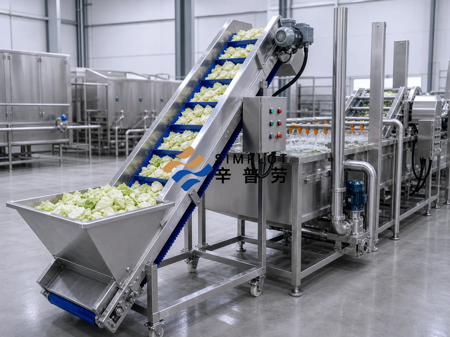 Cabbage Washing Processing Line