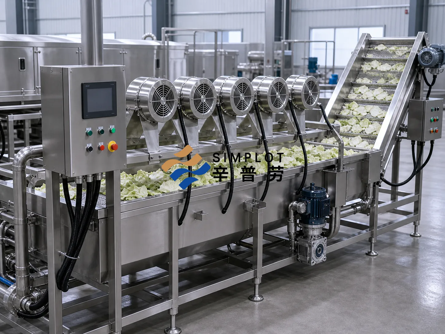Cabbage Washing Processing Line