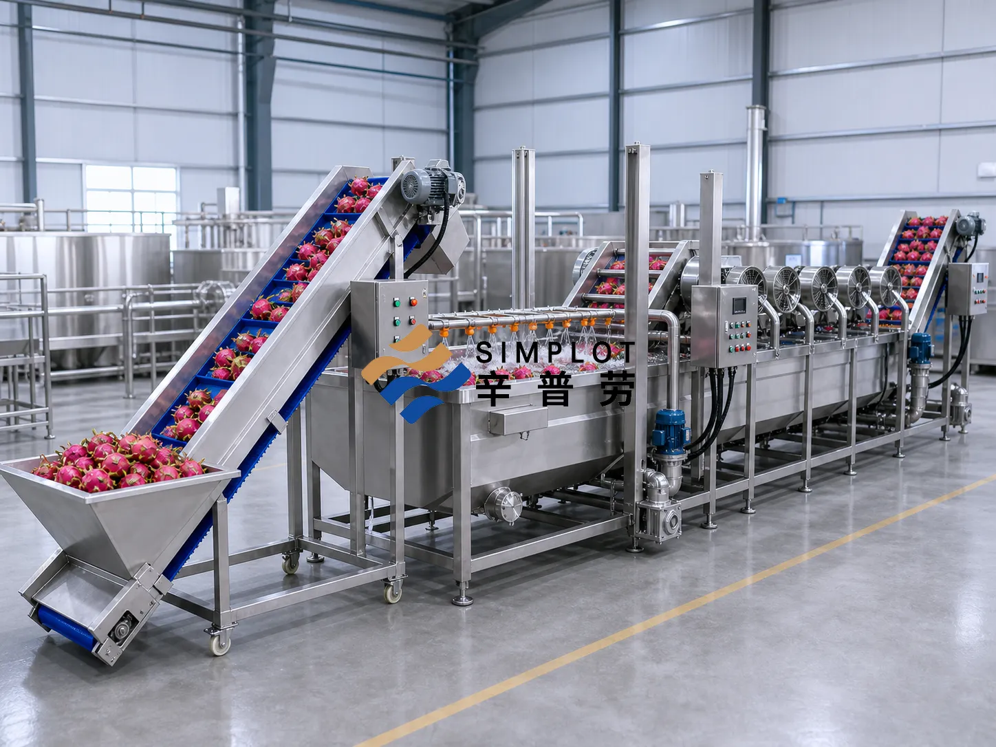 Dragon Fruit Washing Processing Line