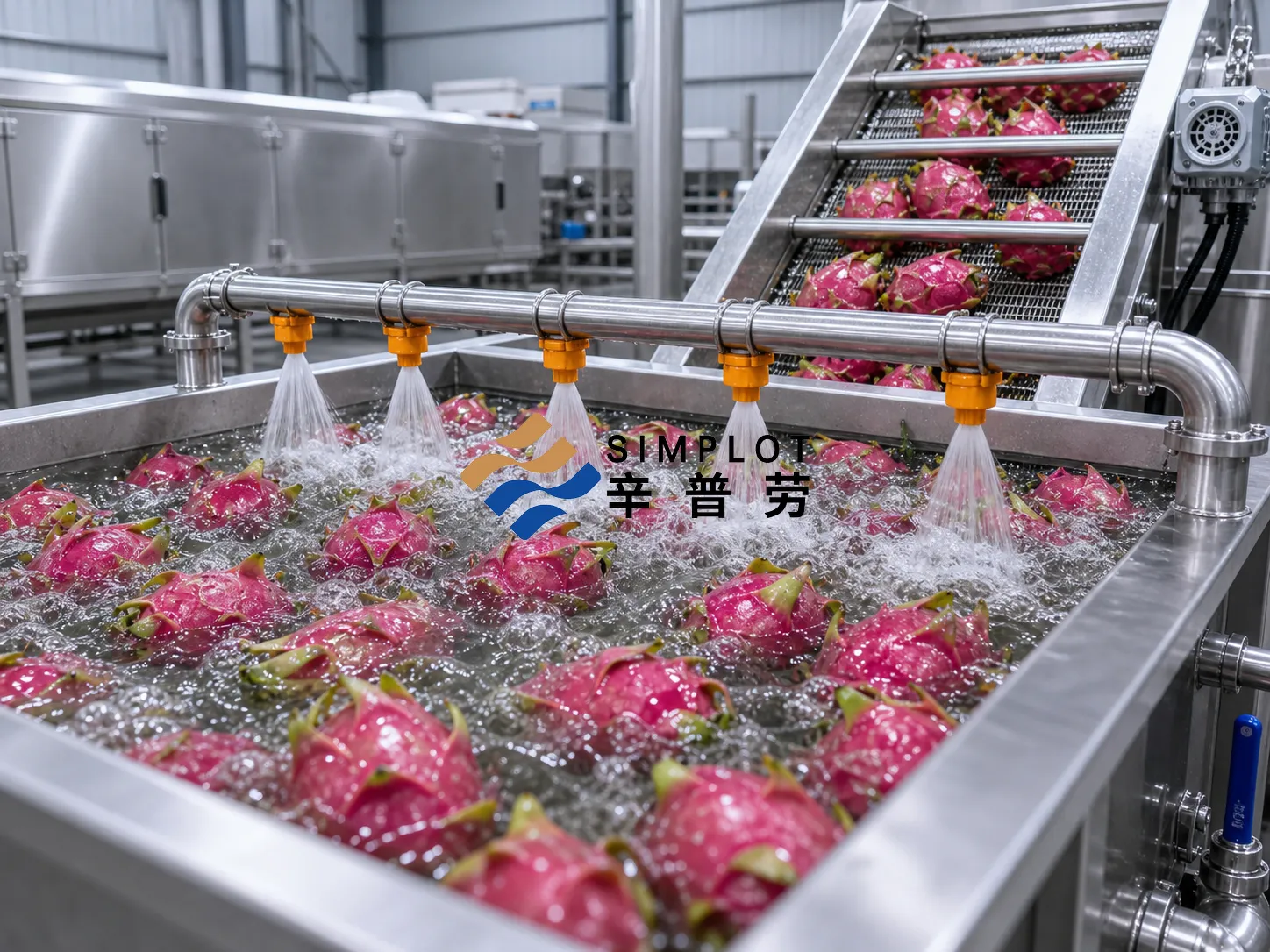 Dragon Fruit Washing Processing Line