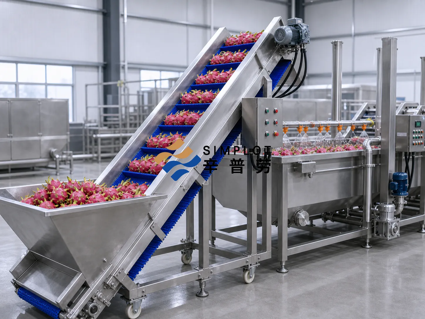 Dragon Fruit Washing Processing Line