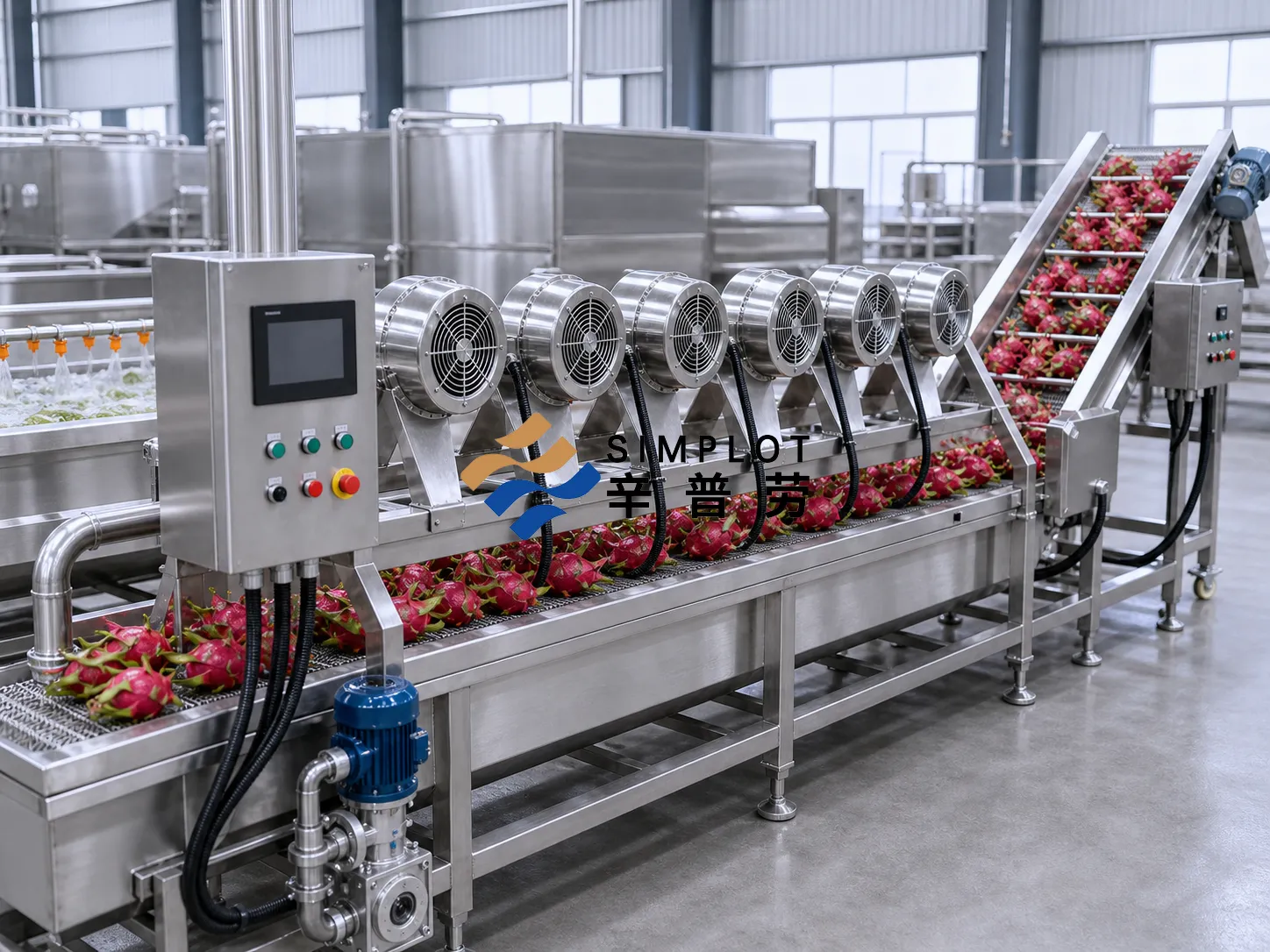 Dragon Fruit Washing Processing Line