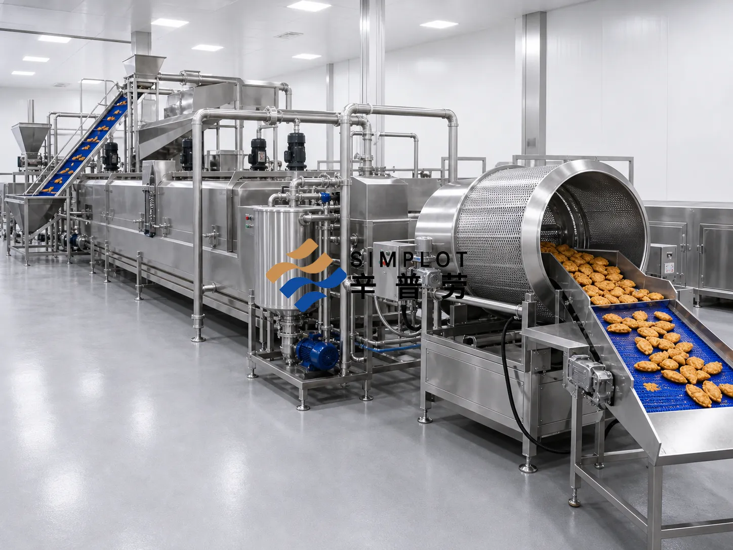 Dumpling Frying Production Line
