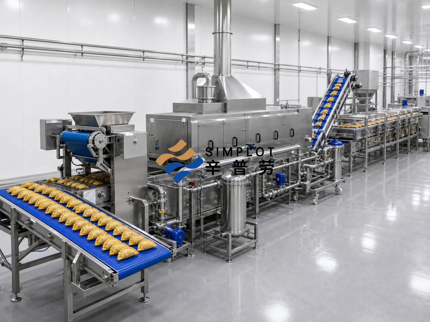Dumpling Frying Production Line