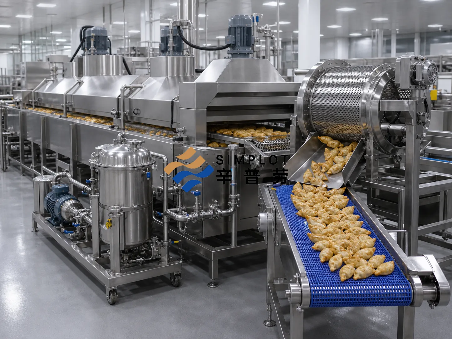 Dumpling Frying Production Line