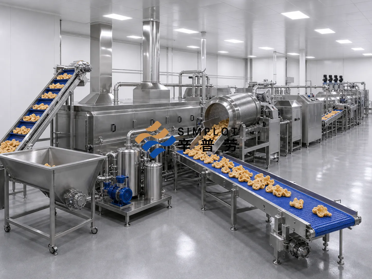 Fried Pork Skin Production Line