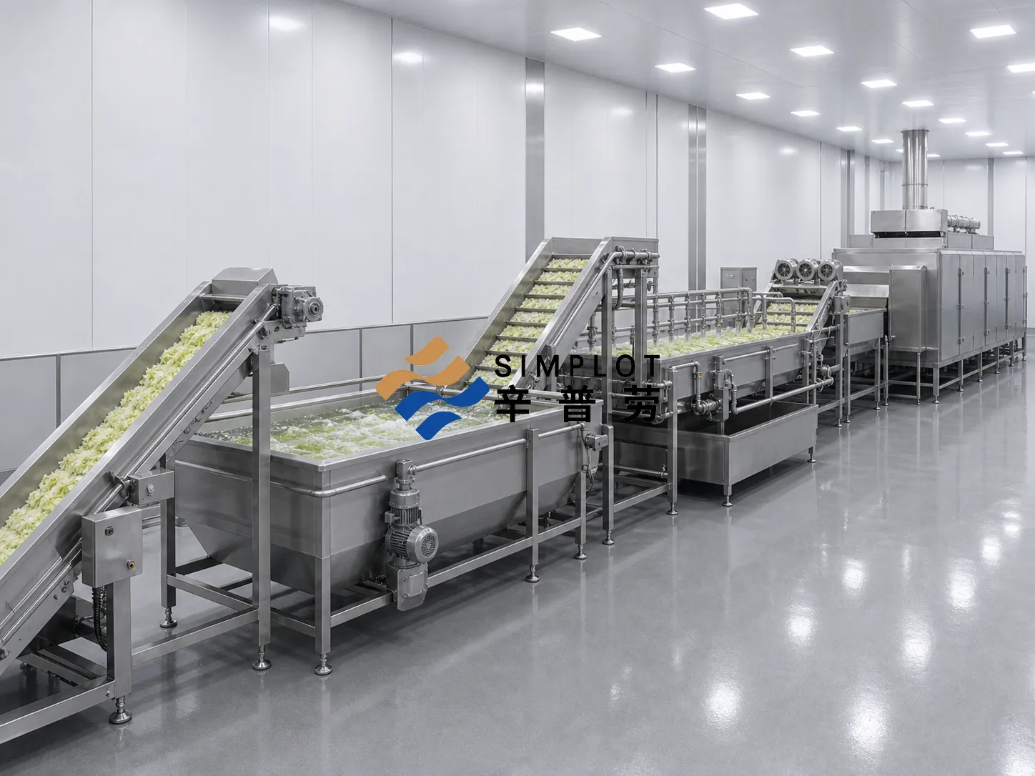 Frozen Cabbage Processing Line