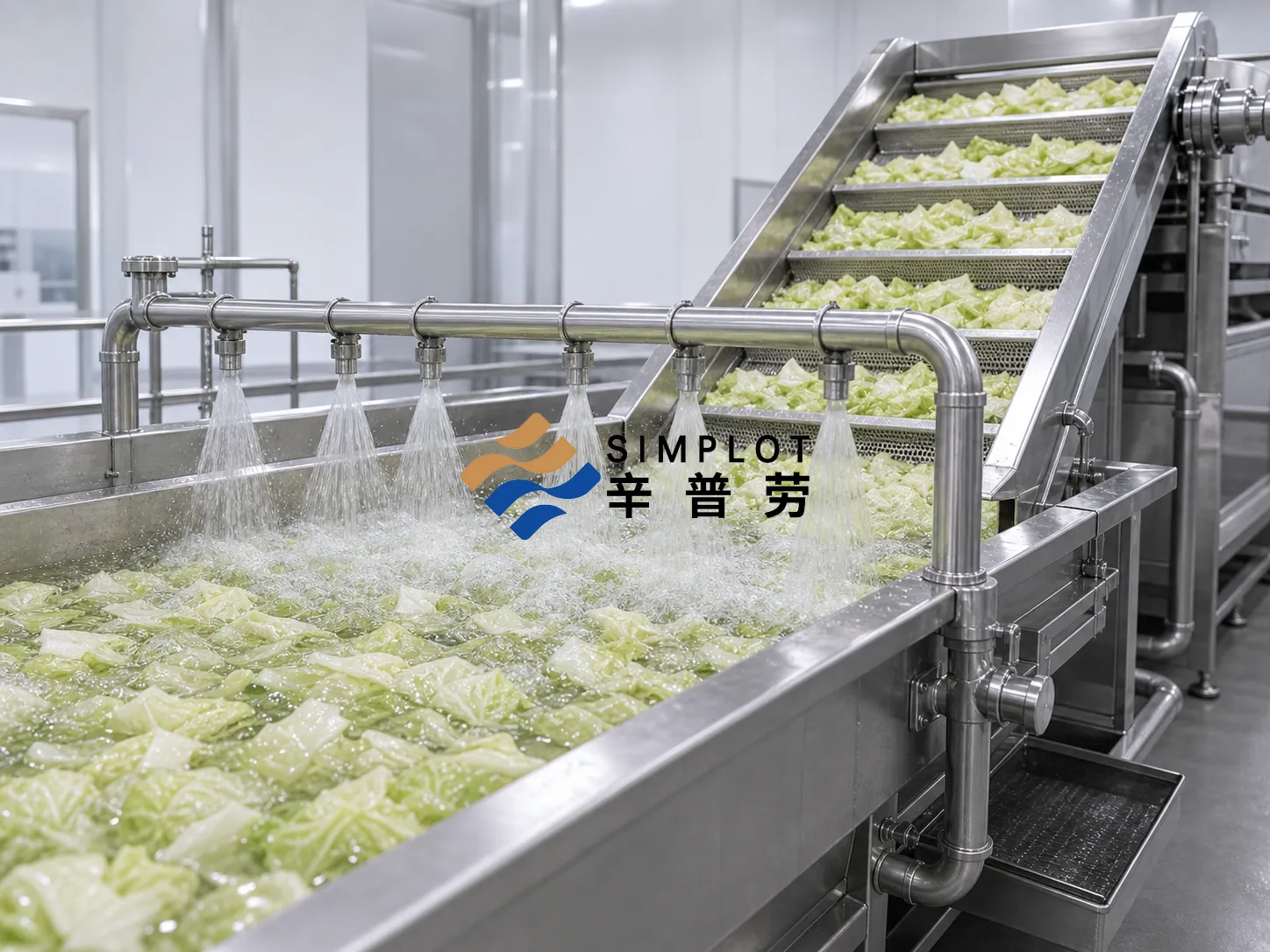 Frozen Cabbage Processing Line