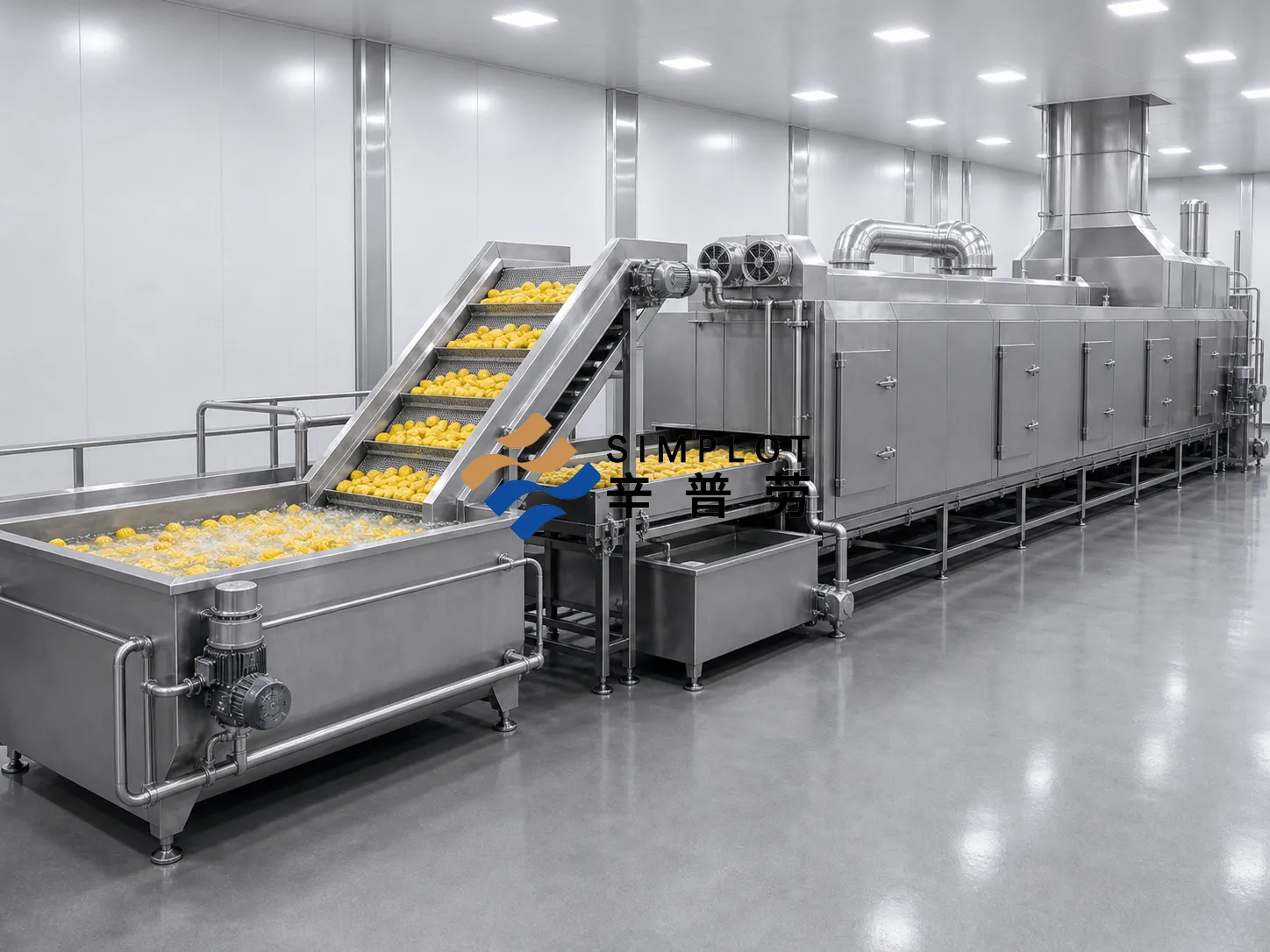 How to Plan a Frozen Vegetable Processing Line