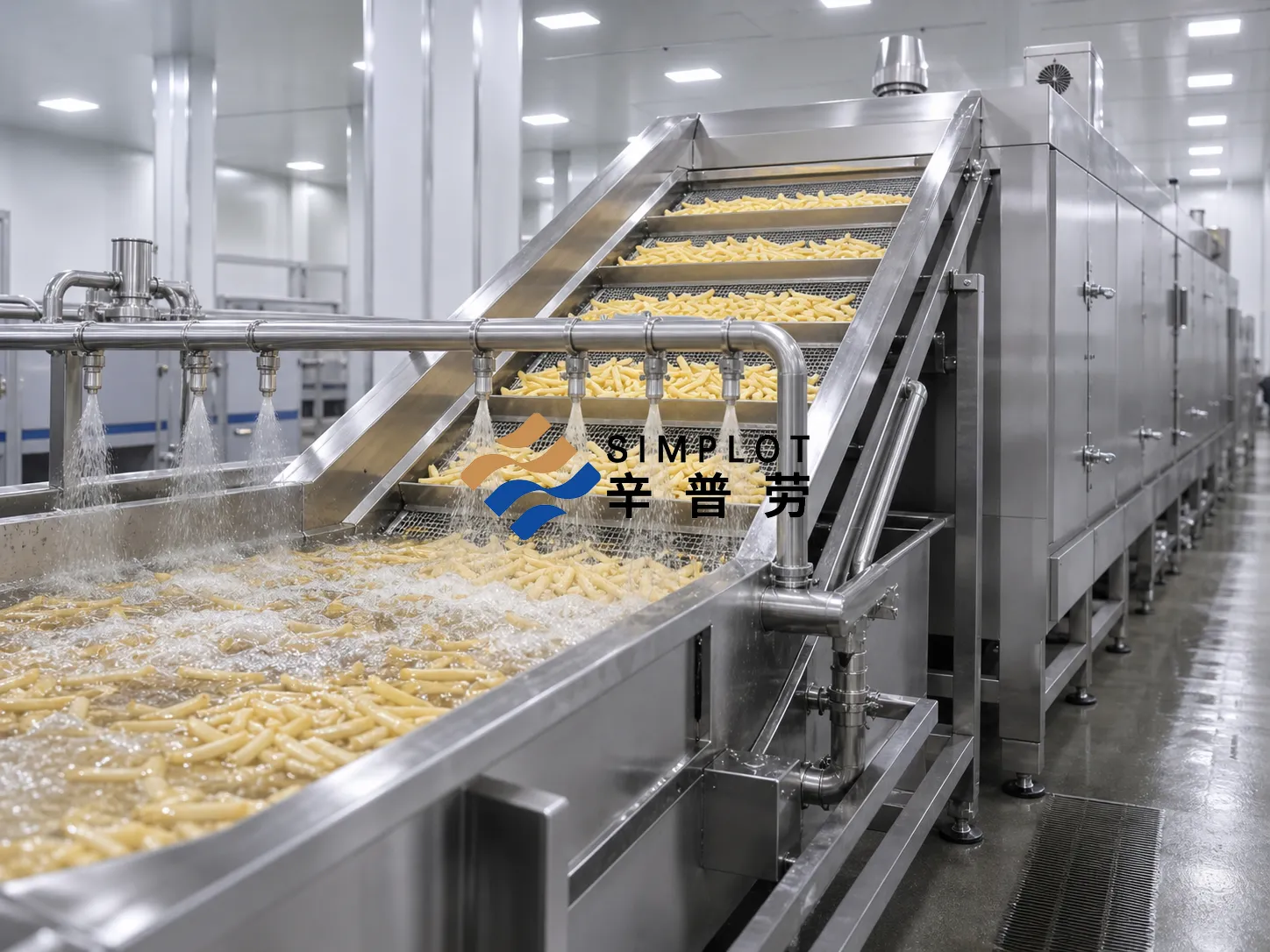 500kg per hour frozen French fries processing line layout with washing cutting and frying sections