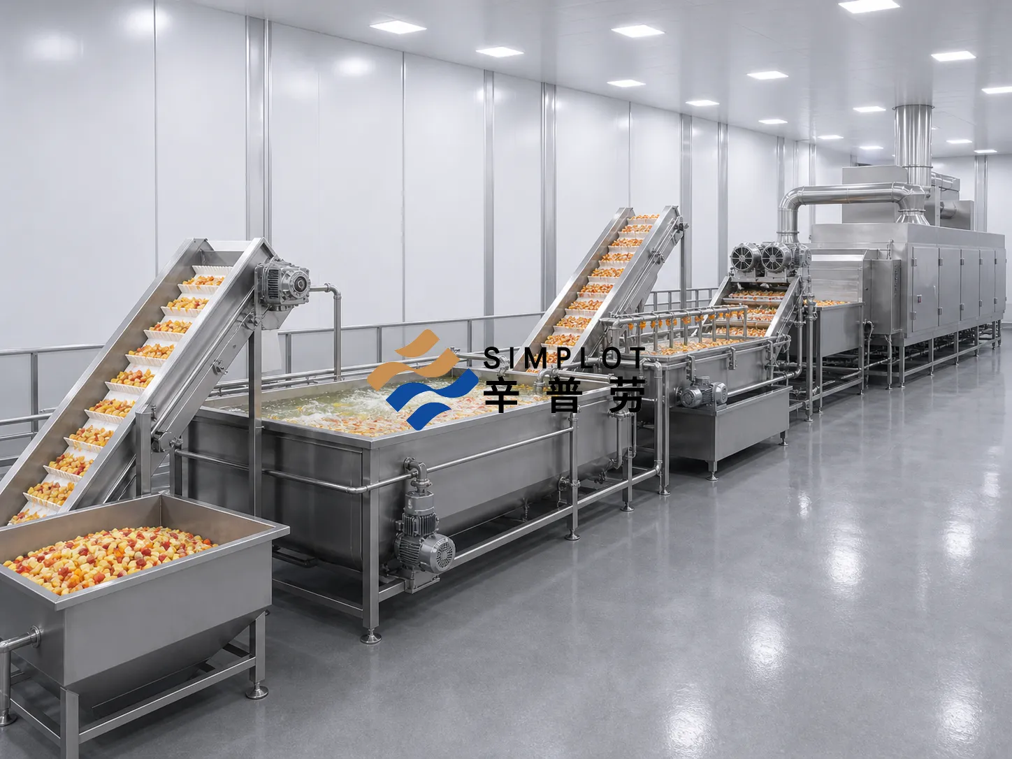 Frozen Fruit Dice Processing Line