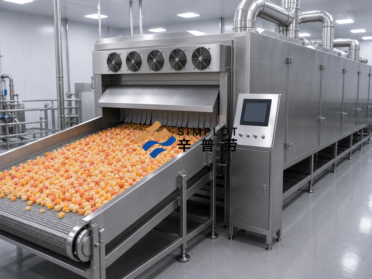 Frozen Fruit Dice Processing Line