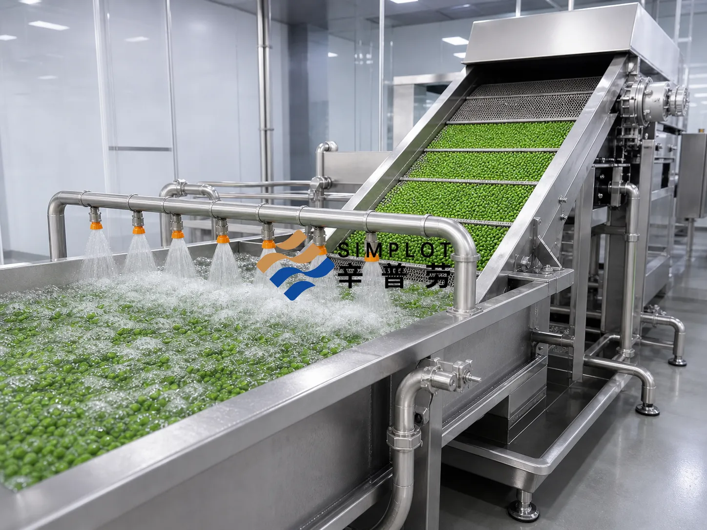 Frozen vegetable processing line with washing blanching cooling and IQF freezing sections