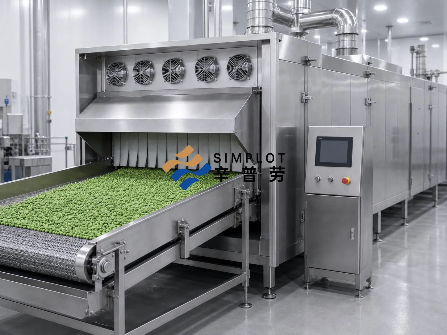 Frozen Pea Processing Line