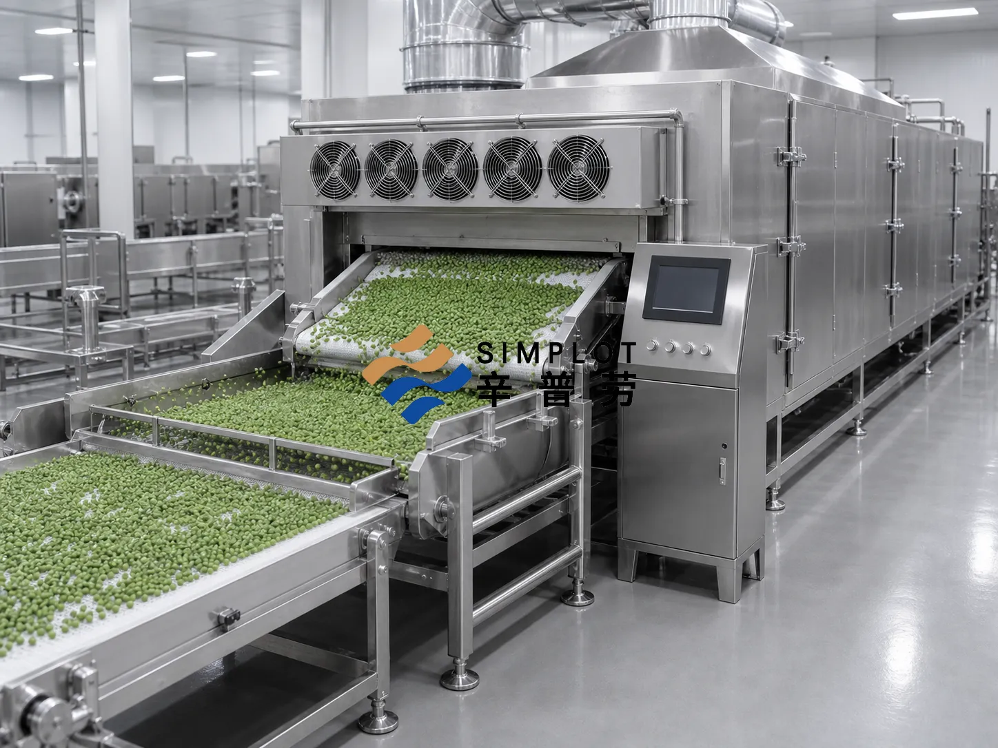 Frozen Pea Processing Line