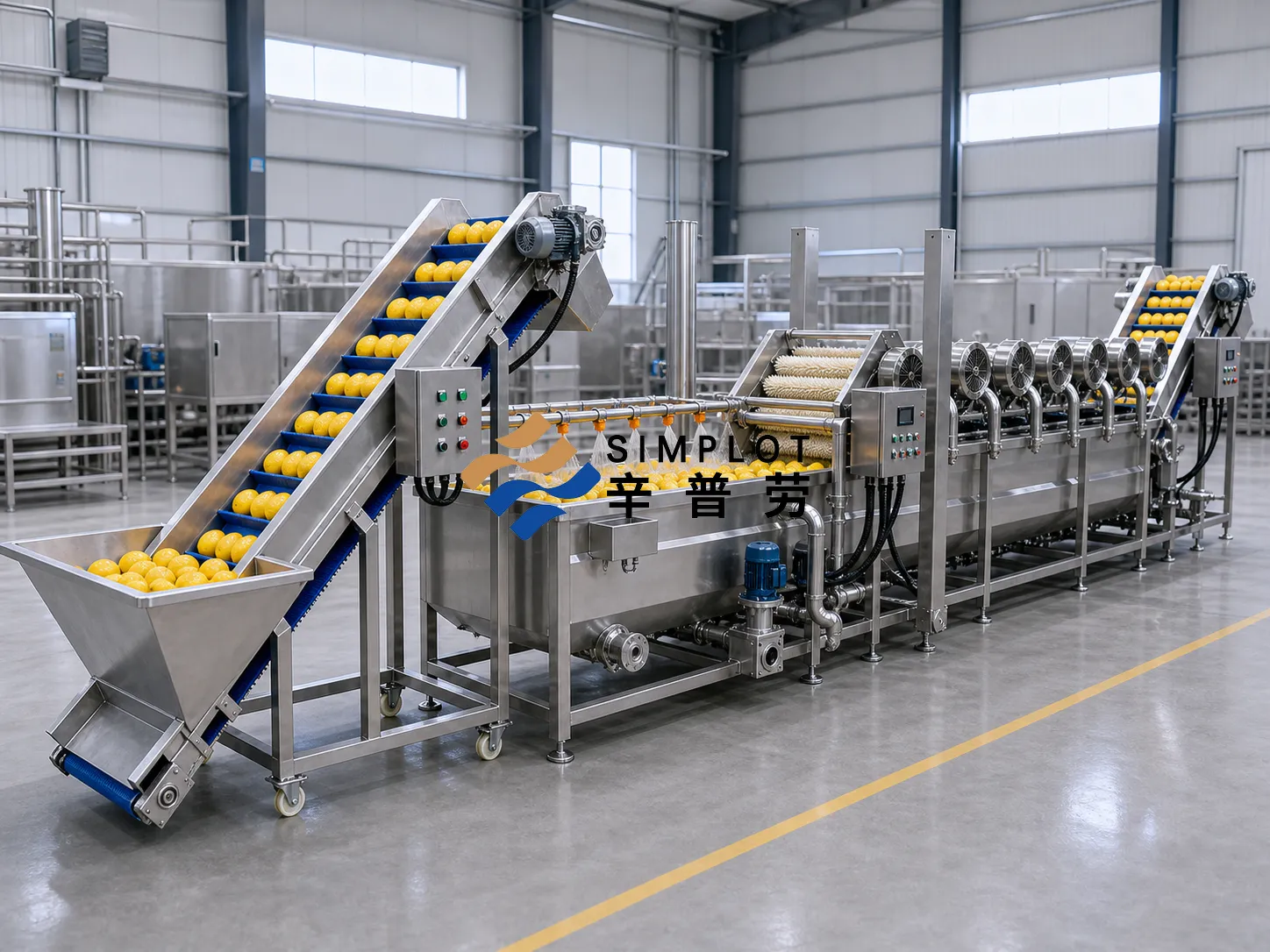 Lemon Washing Processing Line
