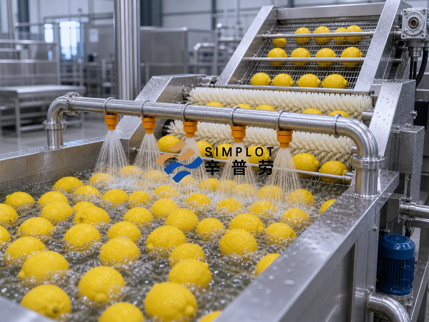 Lemon Washing Processing Line