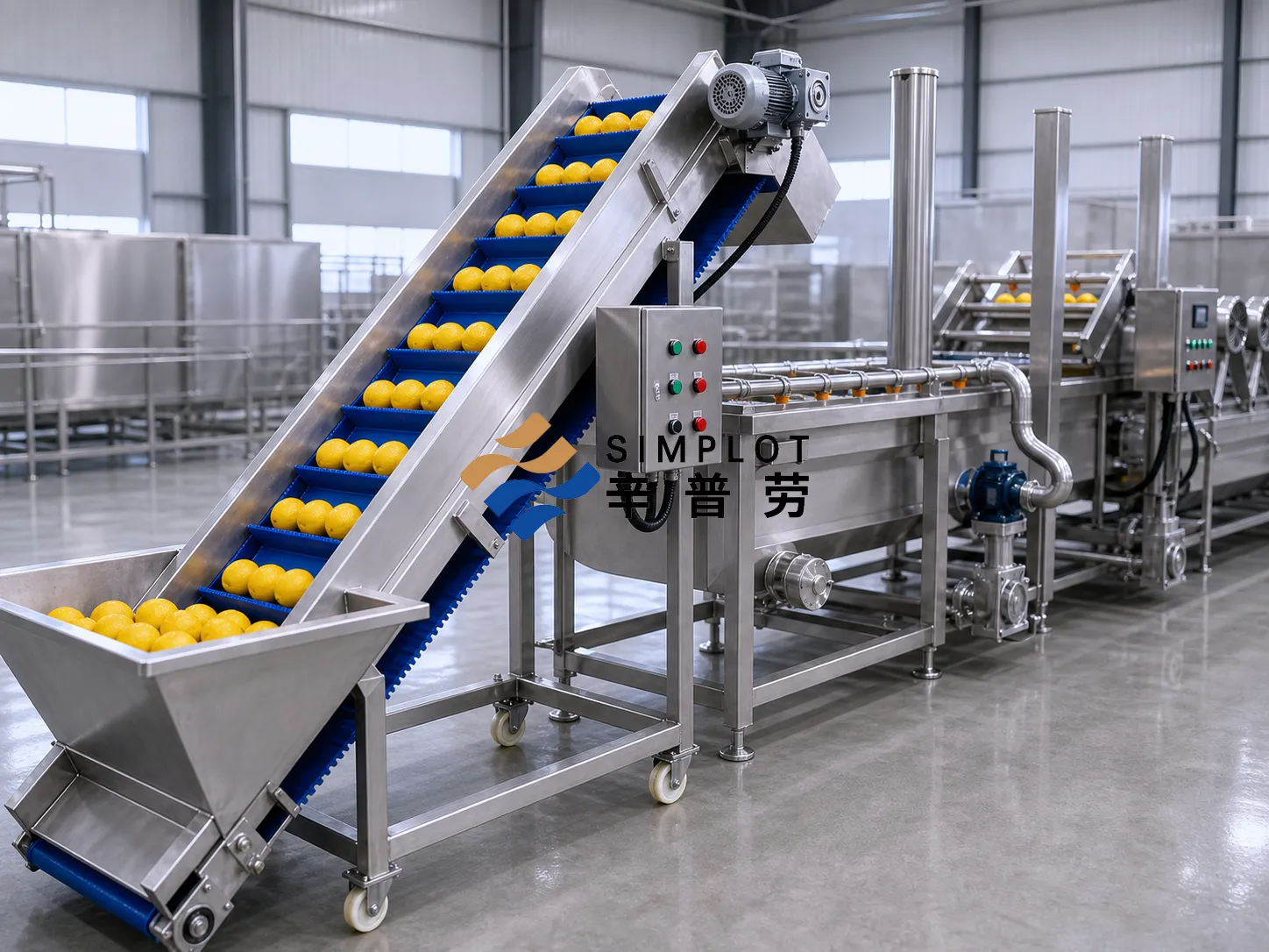 Lemon Washing Processing Line