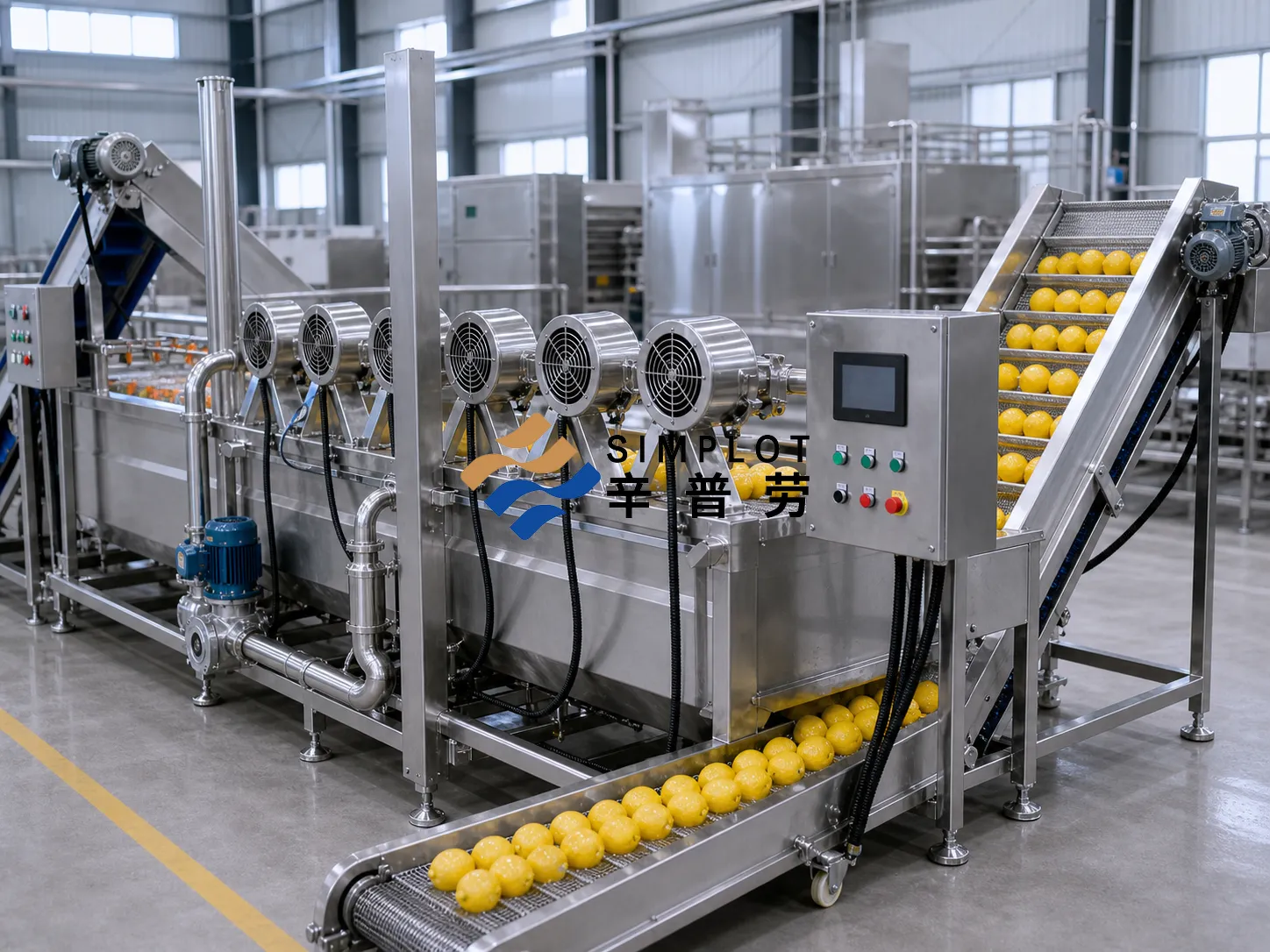 Lemon Washing Processing Line