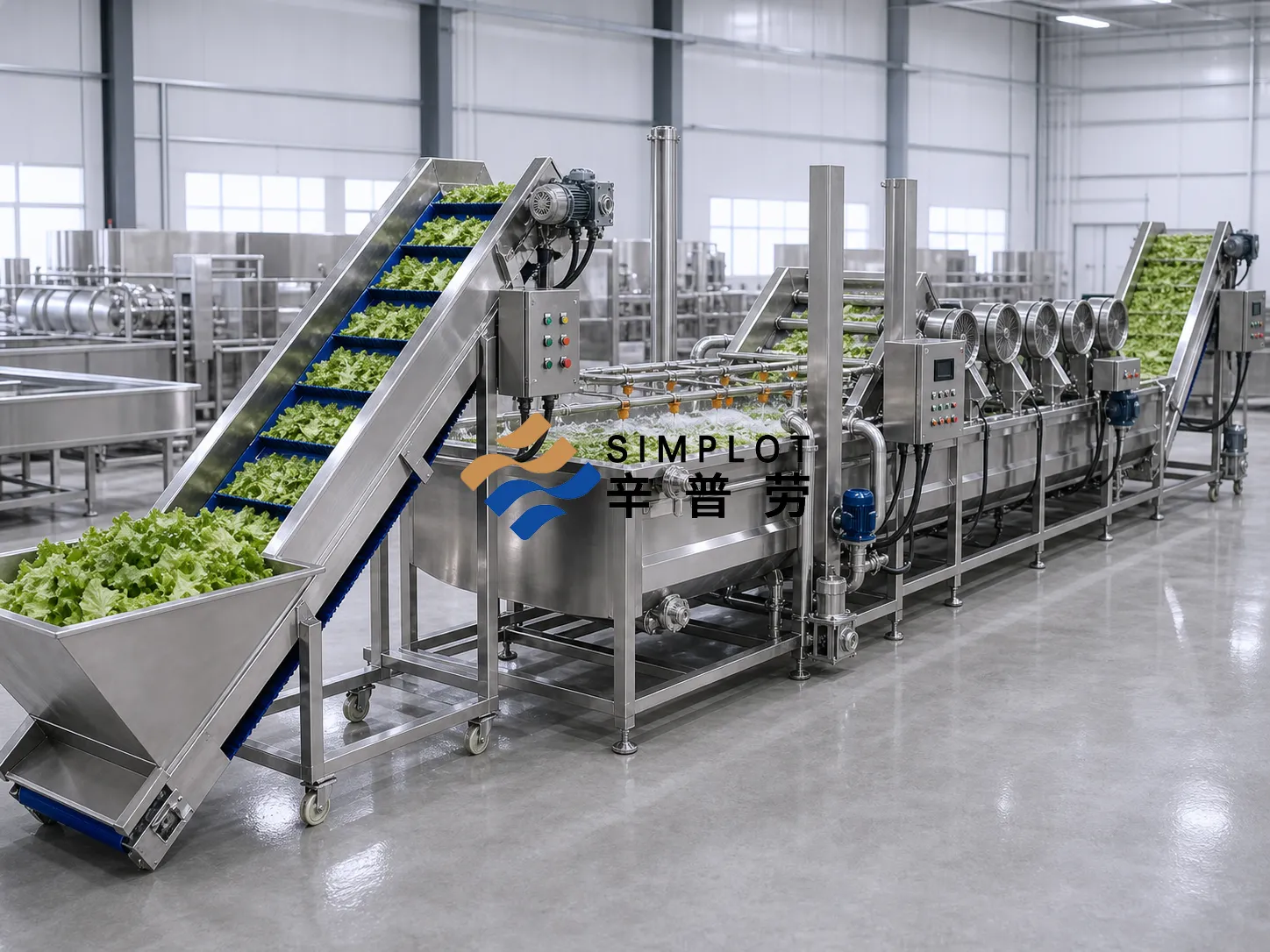 Lettuce Washing Processing Line