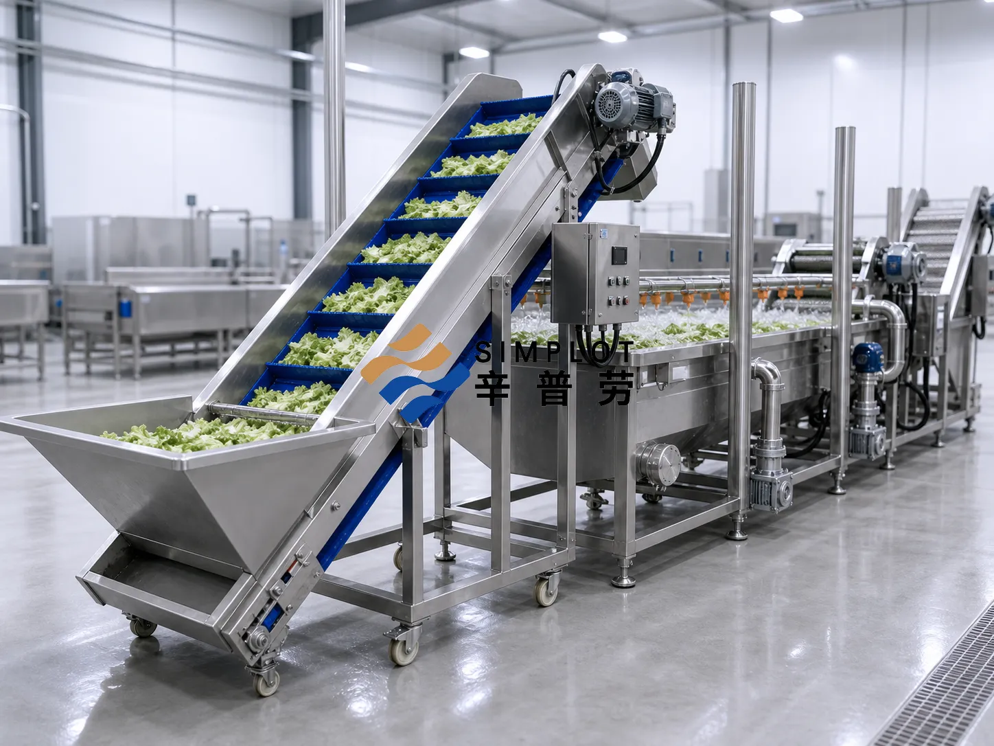 Lettuce Washing Processing Line