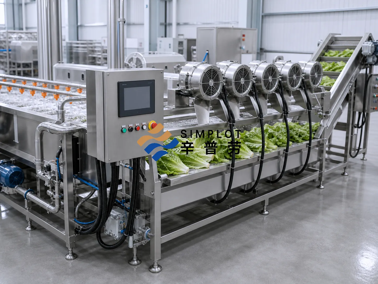 Lettuce Washing Processing Line
