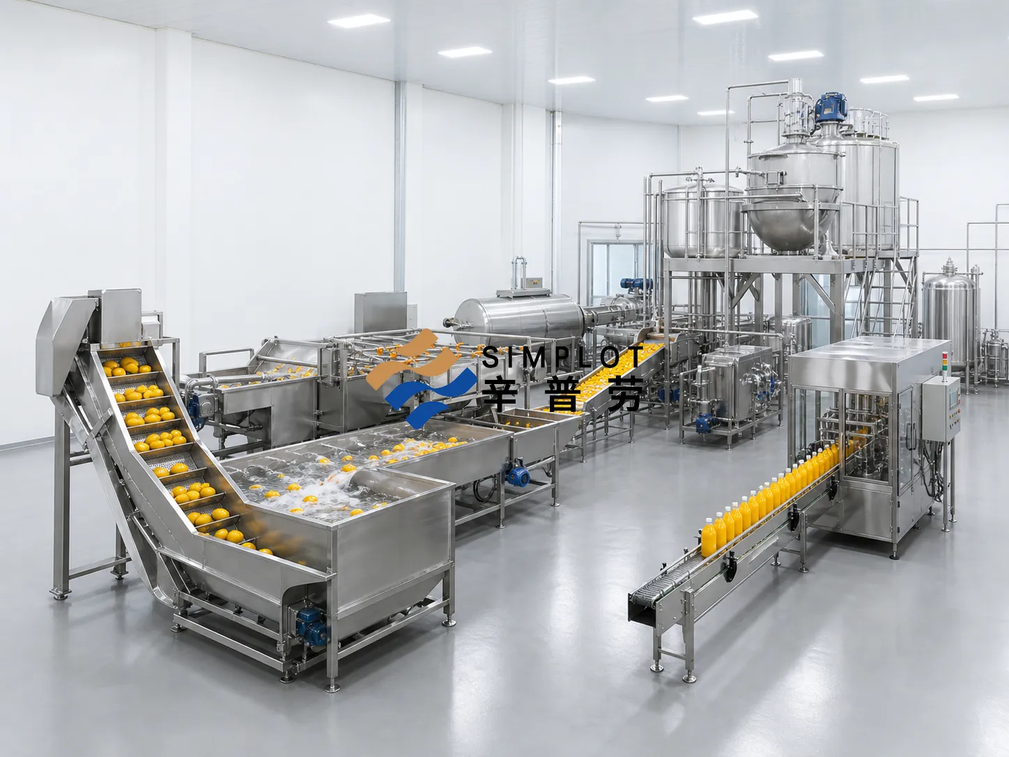 Mango Juice Processing Line
