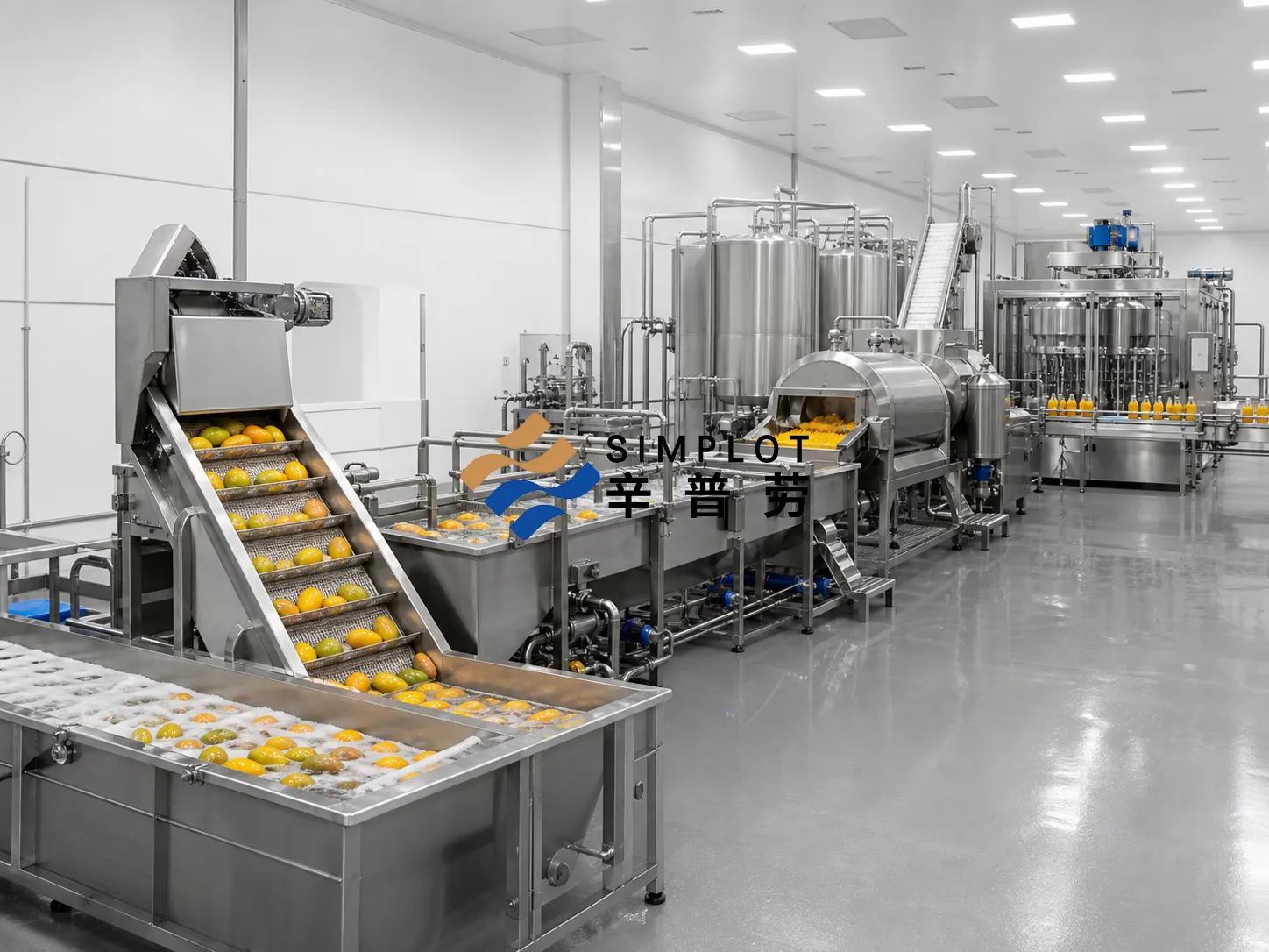 Mango Juice Processing Line