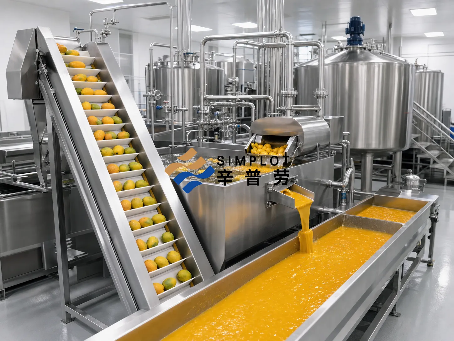 Mango Juice Processing Line