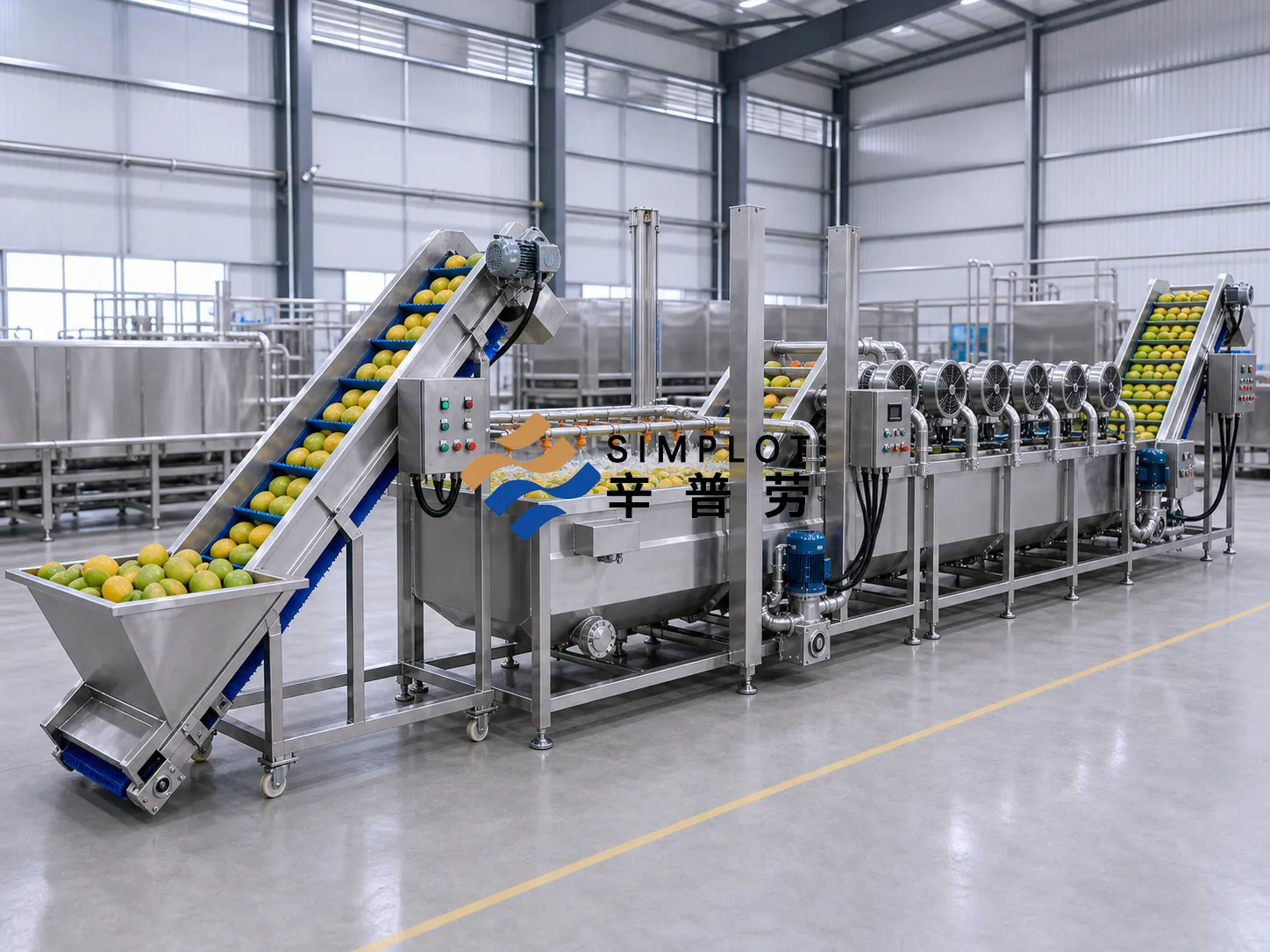 Mango Washing Processing Line