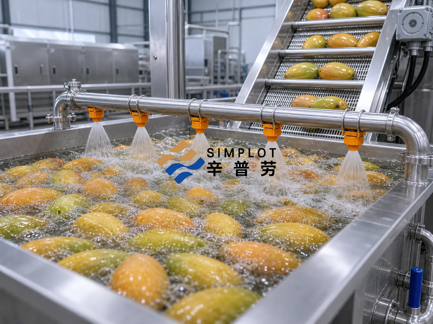 Mango Washing Processing Line