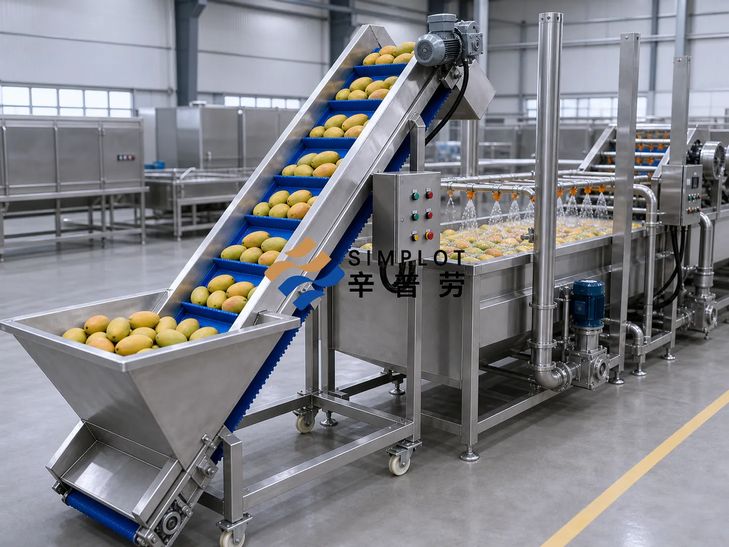 Mango Washing Processing Line