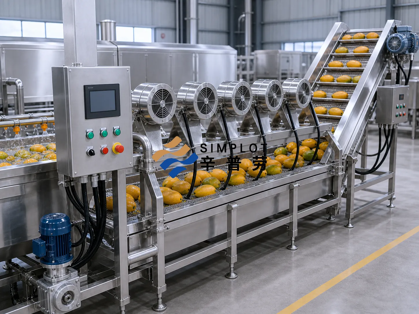 Mango Washing Processing Line