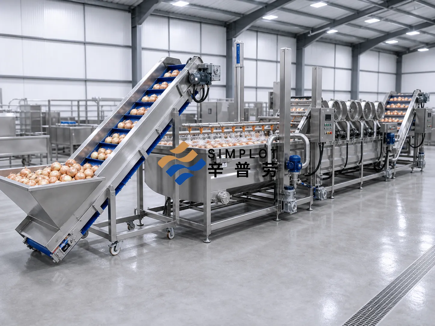 Onion Washing Processing Line