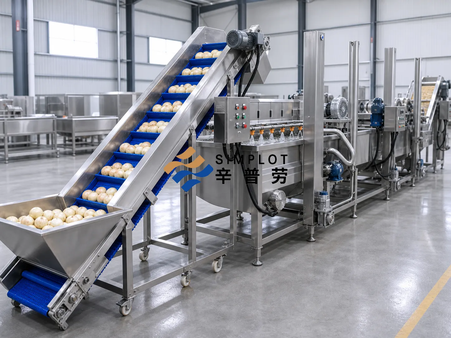 Onion Washing Processing Line
