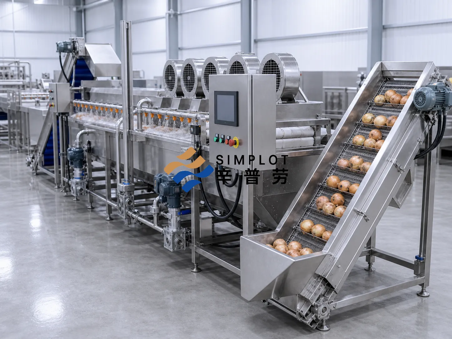 Onion Washing Processing Line