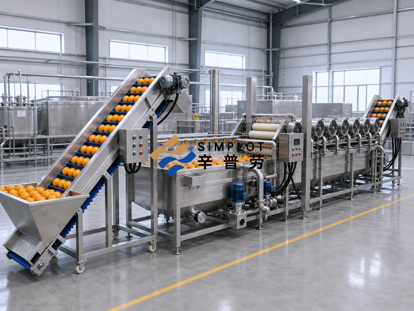 Orange Washing Processing Line
