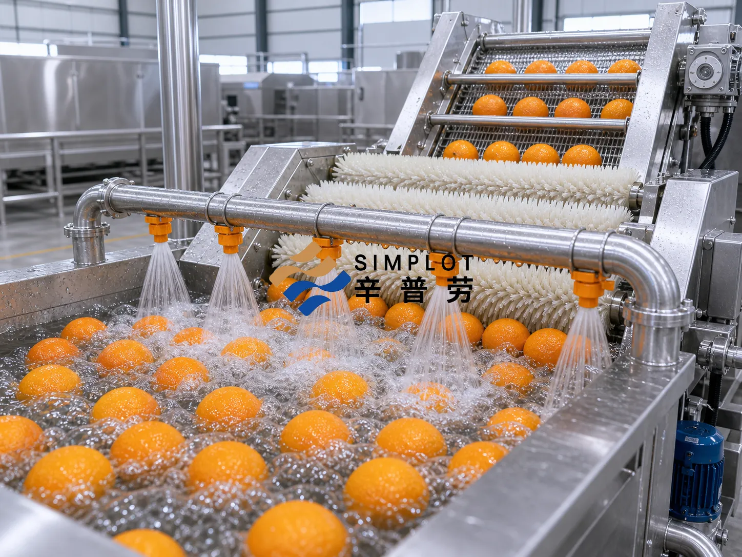 Orange Washing Processing Line