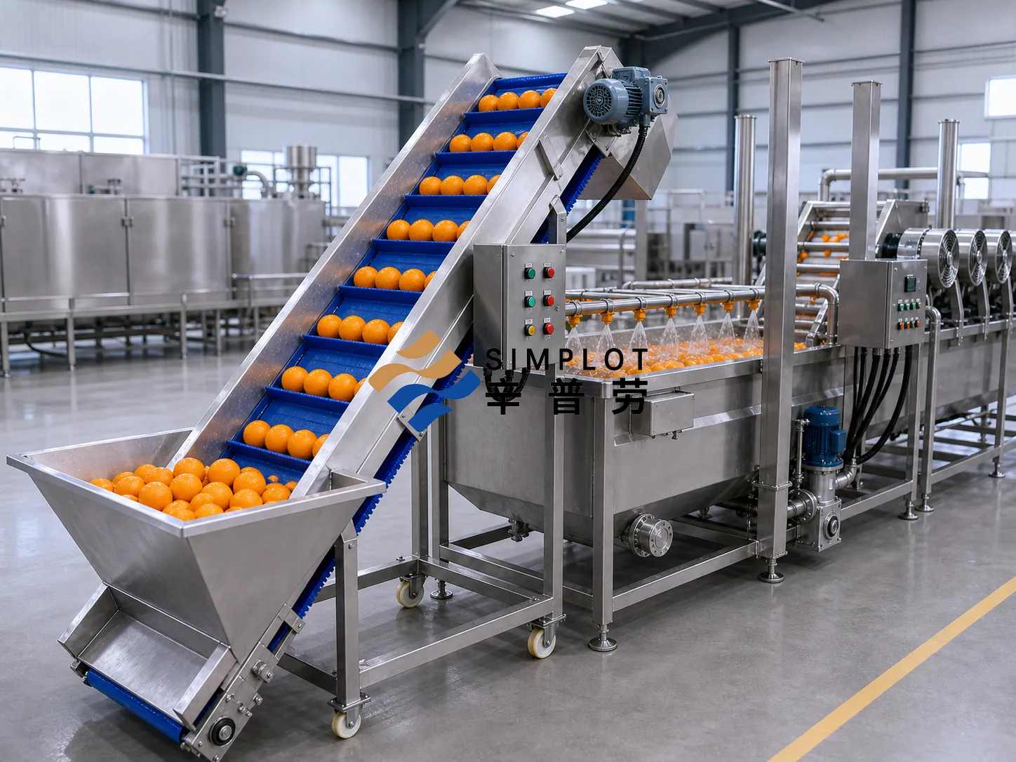 Orange Washing Processing Line